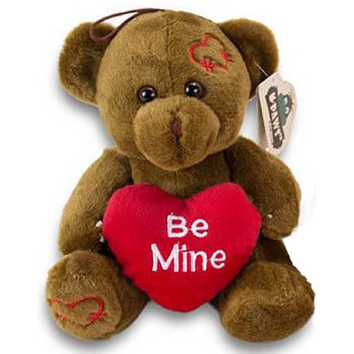 Teddy Bear Daisy Plush Toy Whiteh Heart (Be Mine) 20 cm