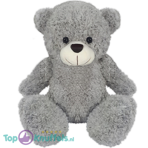 Teddy Bear Eddy Plush Toy (Grijs) 25 cm