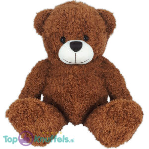Teddy Bear Eddy Plush Toy (Brown) 30 cm