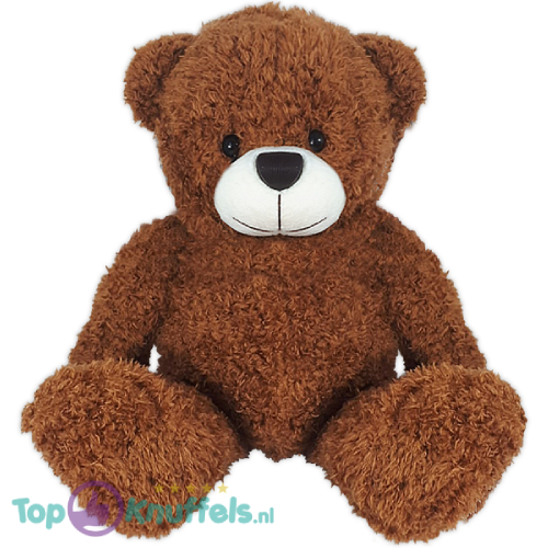 Teddy Bear Eddy Plush Toy (Brown) 30 cm