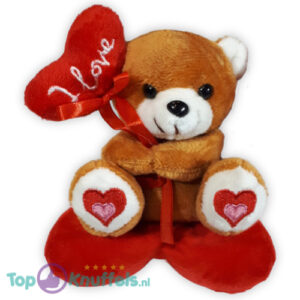 Teddy Bear Whiteh Heartjes Ballon Plush Toy 15 cm