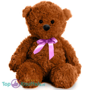Teddy Bear Polly (Brown Whiteh Pink Bow) Plush Toy 30 cm
